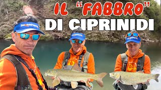 Il FABBRO di ciprinidi