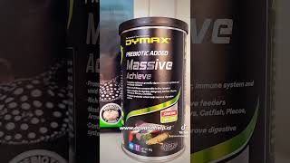 Dymax Massive Achieve Premium alimento peces de fondo carnivoros Acuario Help