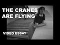 Stylistic Patterns: The Cranes are Flying / Летят журавли (Mikhail Kalatozov) | Video Essay