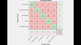 Brain Tumor Detection Using Convolutional Neural Network