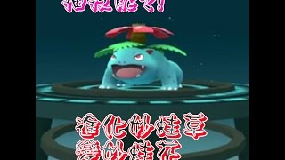 《Pokemon GO》進化第一隻妙蛙花!妙娃草進化妙蛙花~高IV御三家!精靈寶可夢Go