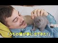 【猫好き必見！】猫が飼い主に極秘で行っていること5選