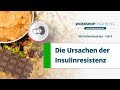 KOHLENHYDRATE (4/6): Ursachen der Insulinresistenz. Brennpunkt Fettleber | Workshop Ernährung KOHLENHYDRATE (4/6): Ursachen der Insulinresistenz. Brennpunkt Fettleber | Workshop Ernährung