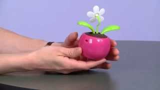 Solar Dancing Flower - Promotional Desk Accessories by 4imprint