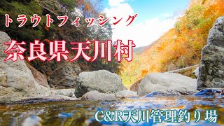 [C\u0026R天川管理釣り場] 奈良県天川村の釣行動画！