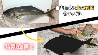 【DIY】夏の自由研究・魚の剥製作ってみた！