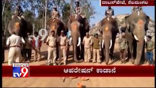 Dasara Elephant Abhimanyu Led Team Begins Hunt to Capture Rogue Elephants in Dabaspet