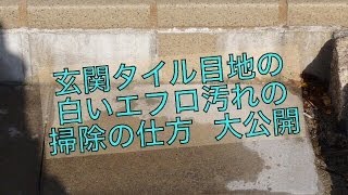 玄関タイル目地の白いエフロの落とし方/白山屋