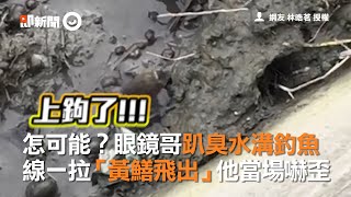 怎可能？眼鏡哥趴臭水溝釣魚　線一拉「黃鱔飛出」他當場嚇歪