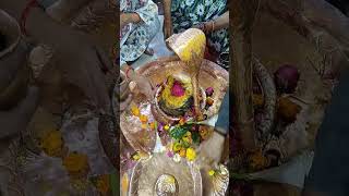 Baba pataleshwar Mahadev Darshan #shorts