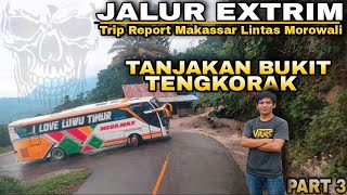 TRIP REPORT MOROWALI | Aksi bus bus Premium mandaki jalur Extreme bukit tengkorak Lintas Morowali