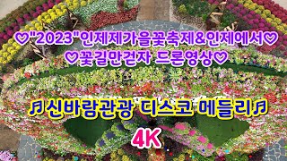 #4kvideo#2023#인제가을꽃축제#인제에서꽃길만걷자#DJI매빅3클래식#4K드론촬영#신바람관광디스코메들리#고속도로관광메들리#뽕짝디스코메들리#갈매기오부리디스코메들리20231008