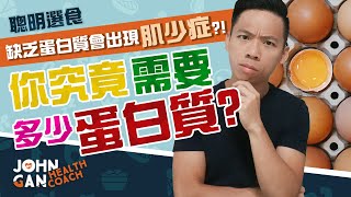 你每天需要吃多少蛋白質？5個組別的蛋白質攝取量《蛋白質#3》| How much protein do you need?