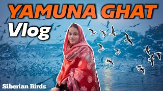 Yamuna Ghat Delhi Vlog | ILMA SAIFI #yamunaghat