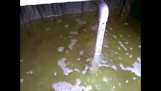 Affnan's Aquaponics - Siphon Operation