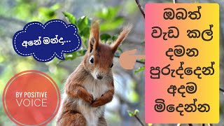 Beat Procrastination / Sinhala / Motivation/ Positive Thinking/ ධනාත්මක චින්තනය