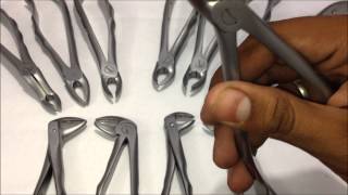 Tooth Extraction Forceps - Upper and Lower 12 Forceps Kit - GDC