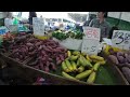 walking tour of paddy’s markets flemington sydney australia