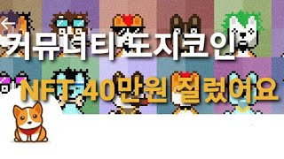 커뮤니티 도지코인 NFT 구입 !