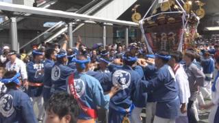 平成29年　茅ヶ崎＜第62回・大岡越前祭＞神輿５基（お発ち）パレード