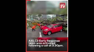 Road obstructed after tree falls on vehicle in Jalan Pinang