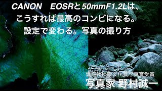 【野村誠一写真塾No034】CANON　EOSRと1.2Lレンズはこう設定すれば最強のコンビになる。CANON-1DX Mark IIIとも素晴らしい!!