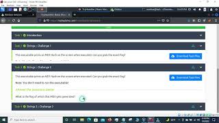 Tryhackme, Basic Malware RE room solve, Bangla.