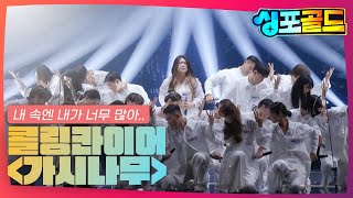 [무대영상] [8화] 공감을 불러 일으켰던 콜랑콰이어의 ＜가시나무 ♬＞ #싱포골드 #Singforgold #콜링콰이어