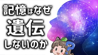 【疑問】記憶はなぜ遺伝しないのか