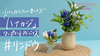 ～リンドウ～スーパーのお花を楽しもう！ハナカジ・ワンポイントアドバイス！