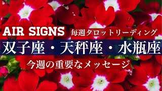 【1/18-1/24】今週の双子座・天秤座・水瓶座☆驚きの展開から大満足の結果へ☆希望しかない未来☆《AIR SIGNS》週間タロットリーディング