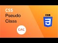 CSS Pseudo Class - CSS 3 Course