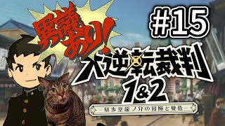 【＃15】猫の大逆転2 第二話-2【喋る猫】大逆転裁判2 初見プレイthe great ace attorney2 case.2-2