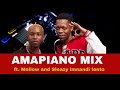 Amapiano Mix 2025 | Mellow & Sleazy – Imnandi Lento