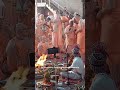 bhaktabandhav radhe kunj prasad religion dham bhakti vraja vrindavan harekrishna hare