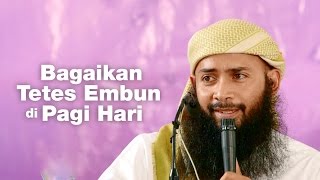 Kajian umum: Bagaikan Tetes Embun di Pagi Hari - Ustadz Dr. Syafiq Riza Basalamah, MA.