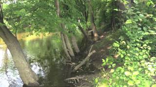 Riparian Buffer - Educational Video