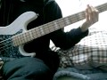 grapevine【everyman everywhere】bass cover