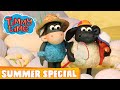 Timmy Time Summer Special: Seaside Rescue
