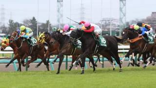 【重賞データ戦略】2017 中山牝馬ステークス（GIII）中山競馬場 1800m（芝）ハンデ（牝）4歳以上オープン