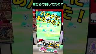 【DC1だん】なんで草むらにいるの？【メザスタ】#shorts ,#メザスタ ,#pokemon