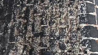 Part 6: soft washing roof with heavy moss and algae.  How to clean moss off your roof w/ no damage