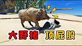 荒岛求生09：第一次猎捕野猪，我被它追着顶屁股