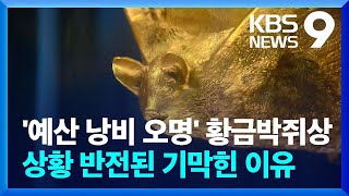 '예산 낭비 오명' 황금박쥐상…상황 반전된 기막힌 이유 [9시 뉴스] / KBS  2023.05.03.