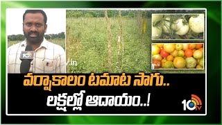 వర్షాకాలం టమాట సాగు.. లక్షల్లో ఆదాయం..! | Tomato Cultivation | Matti Manishi | 10TV