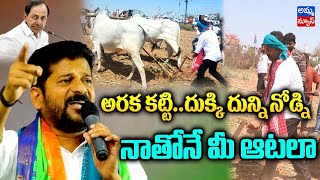 అరక కట్టి .. దుక్కి దున్ని నోడ్ని.. నాతోనే మీ ఆటలా..! | Revanth Reddy | Congress Party | Amma news