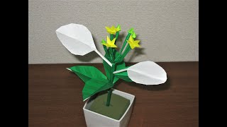 花　[折り紙で作ってみた]　コンロンカ　☆EASY make Mussaenda parviflora☆