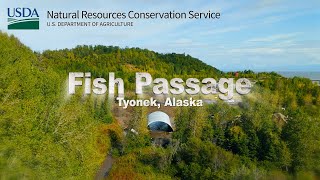 Improving Fish Passage in Tyonek, Alaska