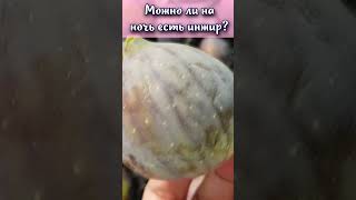 Можно ли на ночь есть инжир? #shorts