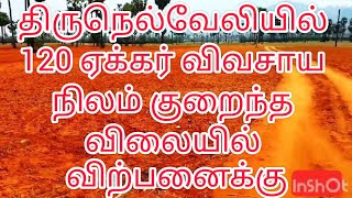 திருநெல்வேலி நாங்குநேரியில் 120 ஏக்கர் விவசாய நிலம் குறைந்த விலையில் விற்பனைக்கு